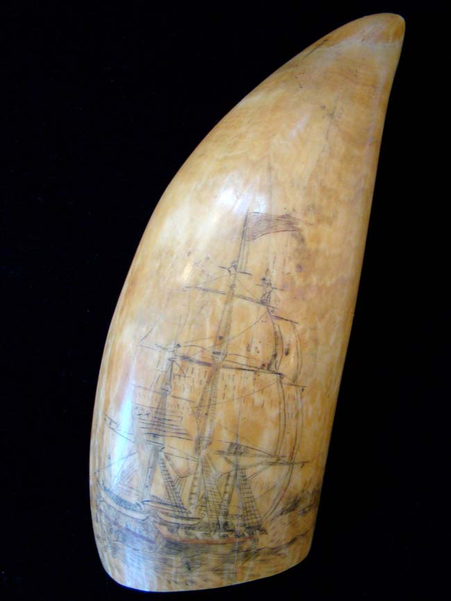 A beautiful 19th century scrimshawed Whale's Tooth circa 1840 — image 4